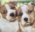 American Staffordshire Terrier Puppies New Htf 500-525 pc Puzzle Dogs Cute