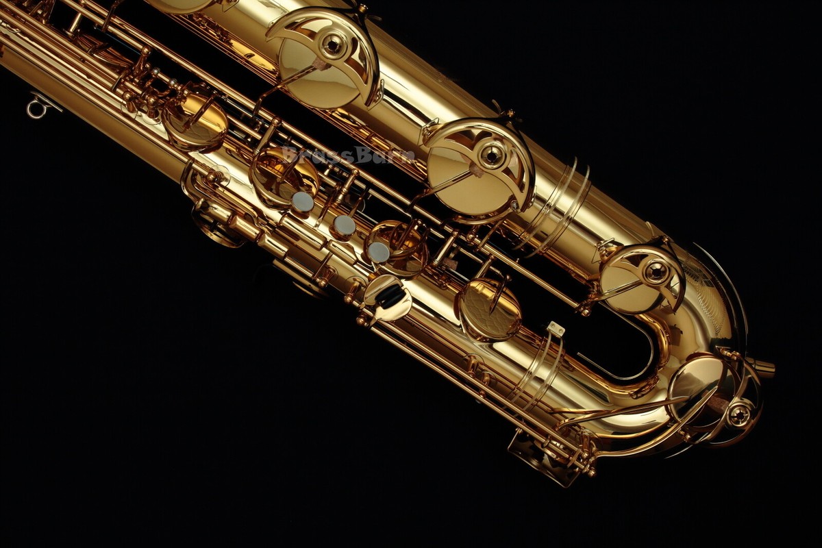 ベース yuito Ibanez Joe Satriani Signature Model ?Chrome Boy? w/ 22 Frets