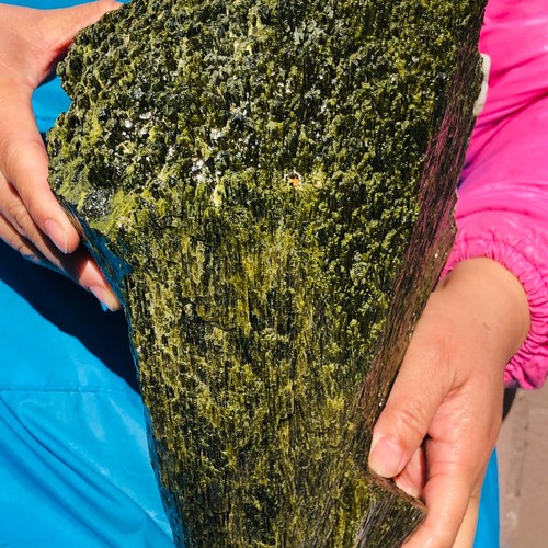 10.5KG Natural Green Epidote Quartz Crystal Gemstone Rough Specimen Healing - Picture 12 of 18