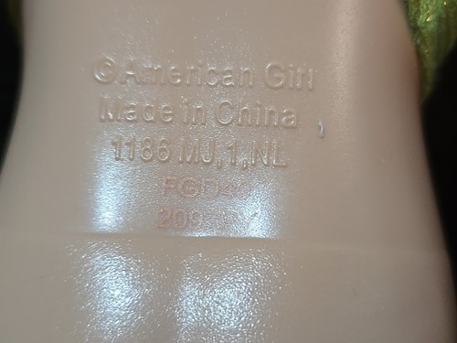 American Girl Wellie Wisher Lot of 2 CAMILLE & WILLA - Picture 12 of 15