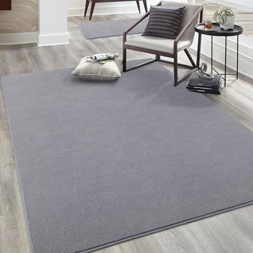 2x3 Grey Area Rugs for Bedroom Living Room, Soft Modern Indoor Throw Rugs Low - Picture 1 of 6