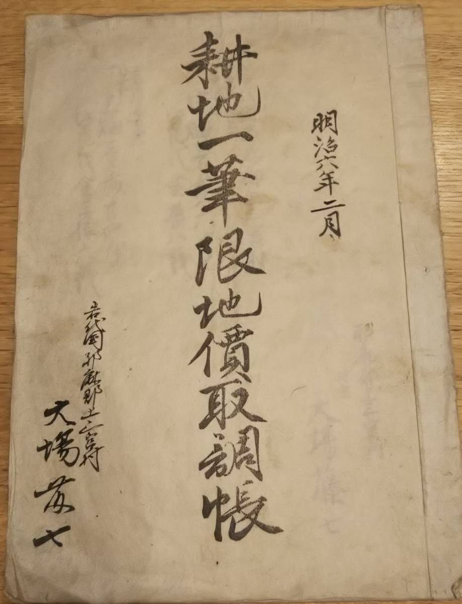 Surveyor Market Item for Sale