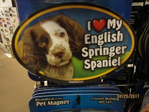 I Love My English Springer Spaniel 6 inch oval magnet for anything metal  New