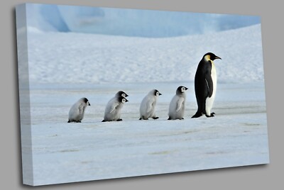 Pinguin Familie Babys Leinwand Wandbild Bild Druck