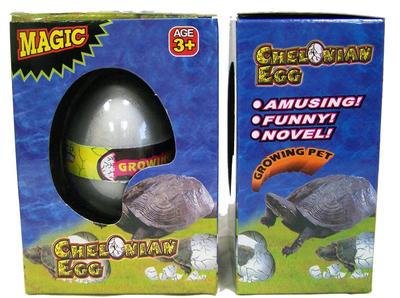FAKE 1 TURTLE WATCH THEM HATCH AND GROW EGGS novelty growing egg turtles reptile
