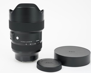 Sigma 14-24mm f/2.8 DG DN Art Sony E-Mount Wide-Angle Zoom Lens /Full-Frame
