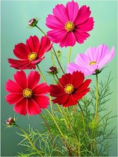 Tile Mural Cosmos Blooming Flowers Kitchen Bathroom Shower Wall Art Backsplash
