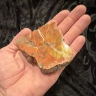 Orange & Yellow Petrified wood Chunk w/ White Veins, Unpolished — photo 5