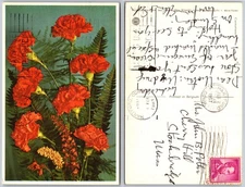Red Carnation Flowers Postcard