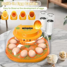 12 Egg Incubator with Automatic Egg Turning Digital Incubators for Hatching Eggs