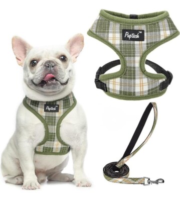 PUPTECK Soft Mesh Dog Harness Leash Set Dog Cat Comfort Padded Vest  Medium
