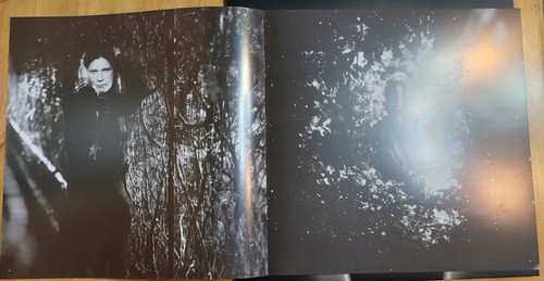 Ozzy Osbourne - Ozzmosis - LTD 500 Copies Color Vinyl - OFFICIAL Release Pallas - Picture 9 of 10