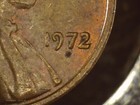 Picture 5 of 14