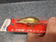 Norman DLN Deep Little N Pre Pradco 