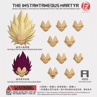 RE Custom DBZ 1/12 shf Ultra Ego Vegeta SSJ3 Vegeta Head sculpture kit