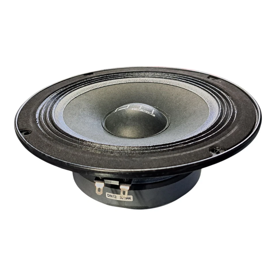 Altavoz Midbass 10" Foto 3 de 4