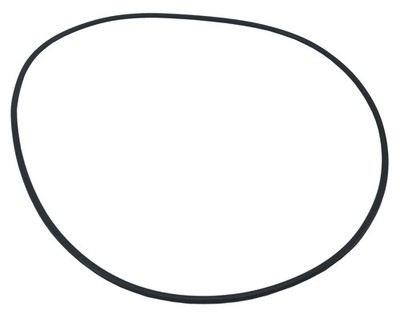 Honda OEM O-Ring (217.5X3.5) - 91351-YB3-003
