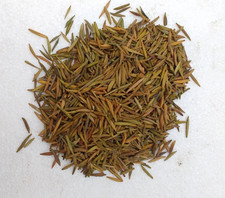 Metha Indrajau Sweet Oleander (Wrightia Tinctoria) Organic Free Ship Whole Seeds