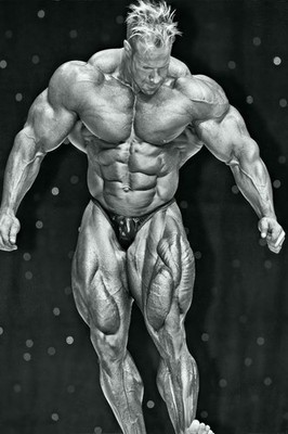 Jay Cutler Quad Stomp Poster