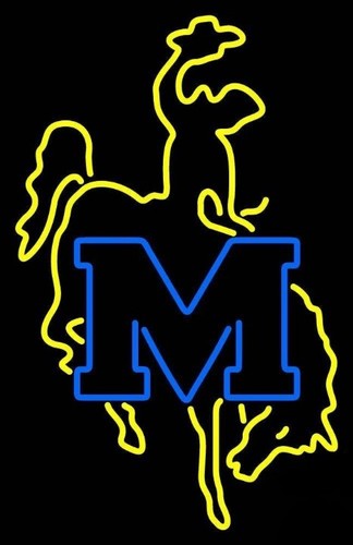Mcneese State Cowboys LED Leuchtreklame 36"x26" Licht Männerhöhle NCAA Teams Wanddeko - Bild 1 von 4