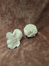 Vintage Pair Of Natural Ribbon And Brain Coral