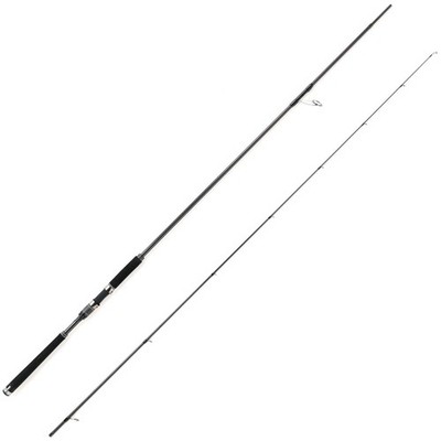 AbuGarcia Salty Stage ProtoType Seabass XSBS-1002MMH