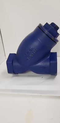 Dri-Steem Strainer Y 2-1/2'' 250# 2 1/2 APE 21 W/ BlowOff Plug 300100-007