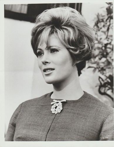 Original Photo 1965 The Liquidator Jill St John # 40 - Picture 1 of 3