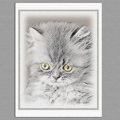 6 Gray Kitten Cat Blank Art Note Greeting Cards