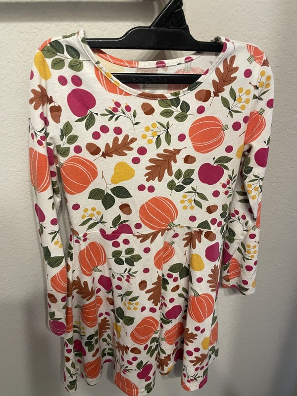 The Children’s Place Girls Fall Long Sleeve Dress, Size Small 5/6