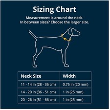 Escape-Proof Chain Dog Collar - Adjustable  Reflective