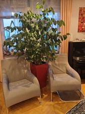 B&B Italia: Model Florence (Design by Antonio Citterio) Armchair