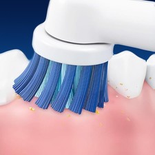 Replacement Brush Heads