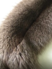 Collo di Volpe Argentata