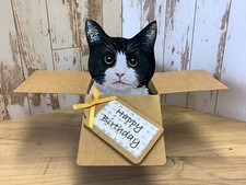 Cat Birthday card, 3D Pop Up  Box Card, Handmade