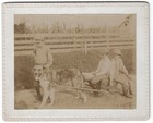 Boys Dog Cart Corn Crop Farm Fence Vintage Card Photo Cornfield Agriculture — photo 2