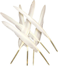 Plumas blancas 10-12 pulgadas, 30 piezas pluma de ganso larga natural, ala izquierda y derecha a granel