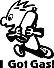 I Got Gas Nitrous Humor Quality Vinyl Decal 42 Different Colors Available