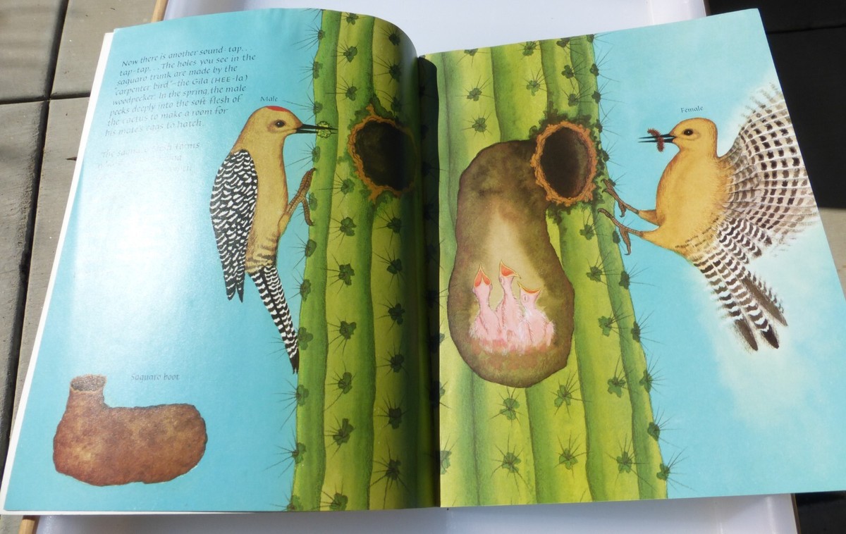 Desert Giant: The World of the Saguaro Cactus (Reading Rainbow