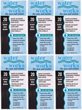 Water Works Permanent Powder Hair Color 20 Black 6 Pack 