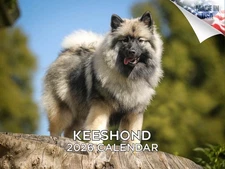 Keeshond Dog Breed Calendar 2026 12x18 Made in USA