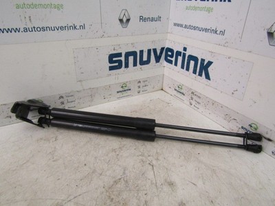 GASDRUCKFEDERN SET HINTEN Citroën DS3 (SA) 2011 9687550980 / 8731V4