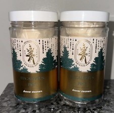 NEW Set of 2 AROMATHERAPY EUCALYPTUS PINE SHOWER STEAMERS 4.8 OZ-6 TABLETS EACH