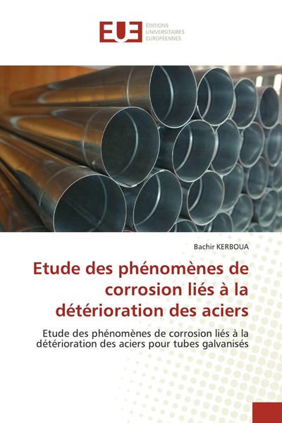 Bachir Kerboua | Etude Des PhéNomèNes De Corrosion LiéS à La DéTéRioration...-image
