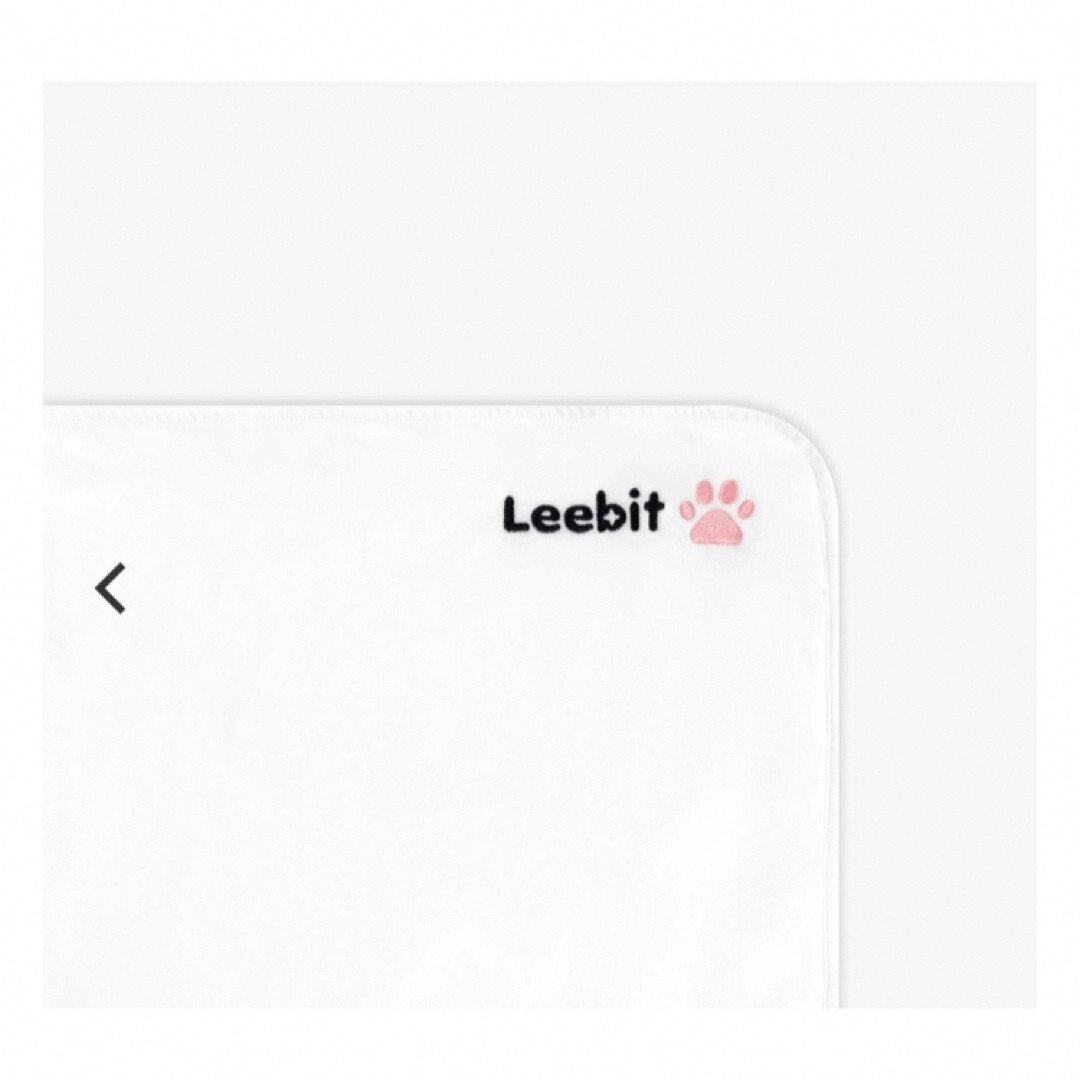 SKZOO Leebit Blanket Lee Know Stray Kids SHIBUYA 109 Xmas