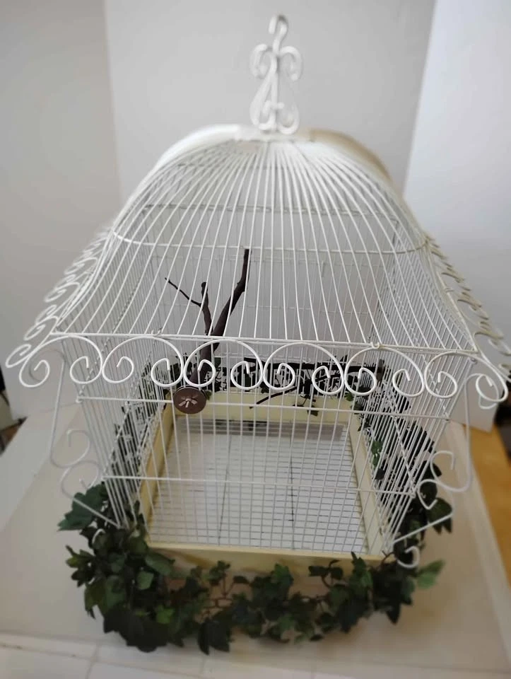 Antique Large Metal Bird Cage Victorian Style White 17x30 Display or Functional
