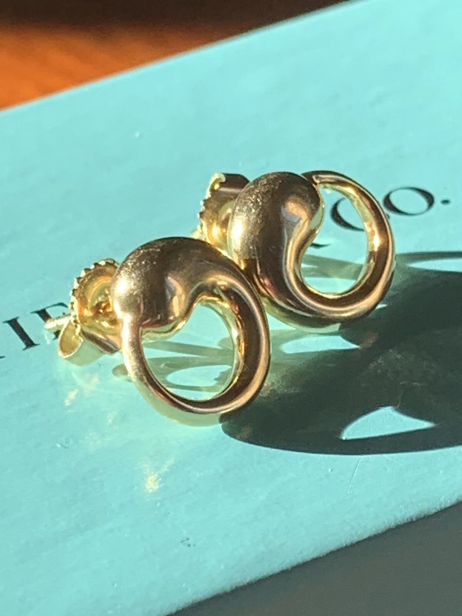 Tiffany eternal shop circle earrings