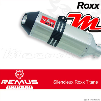 Schalldämpfer Auspuff Remus Roxx RACE Titan ohne Kat KTM 390 Duke 2013