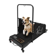 Indoors Pet Running Training Machine Dog Treadmill For Medium Dogs Healthy & Fit