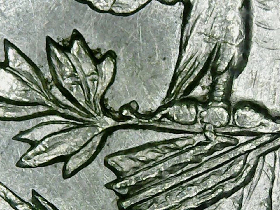 1902 P ICG MS61 VAM-4 Doubled Ear 2 Berry Reverse Morgan Silver Dollar - Image 4 of 4